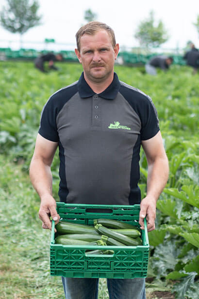 Kolcz-Marek
